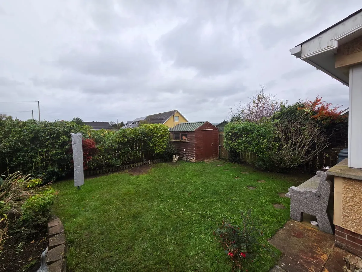 Laurel Hedge Care Guide — Planting, Pruning and Problem Solving