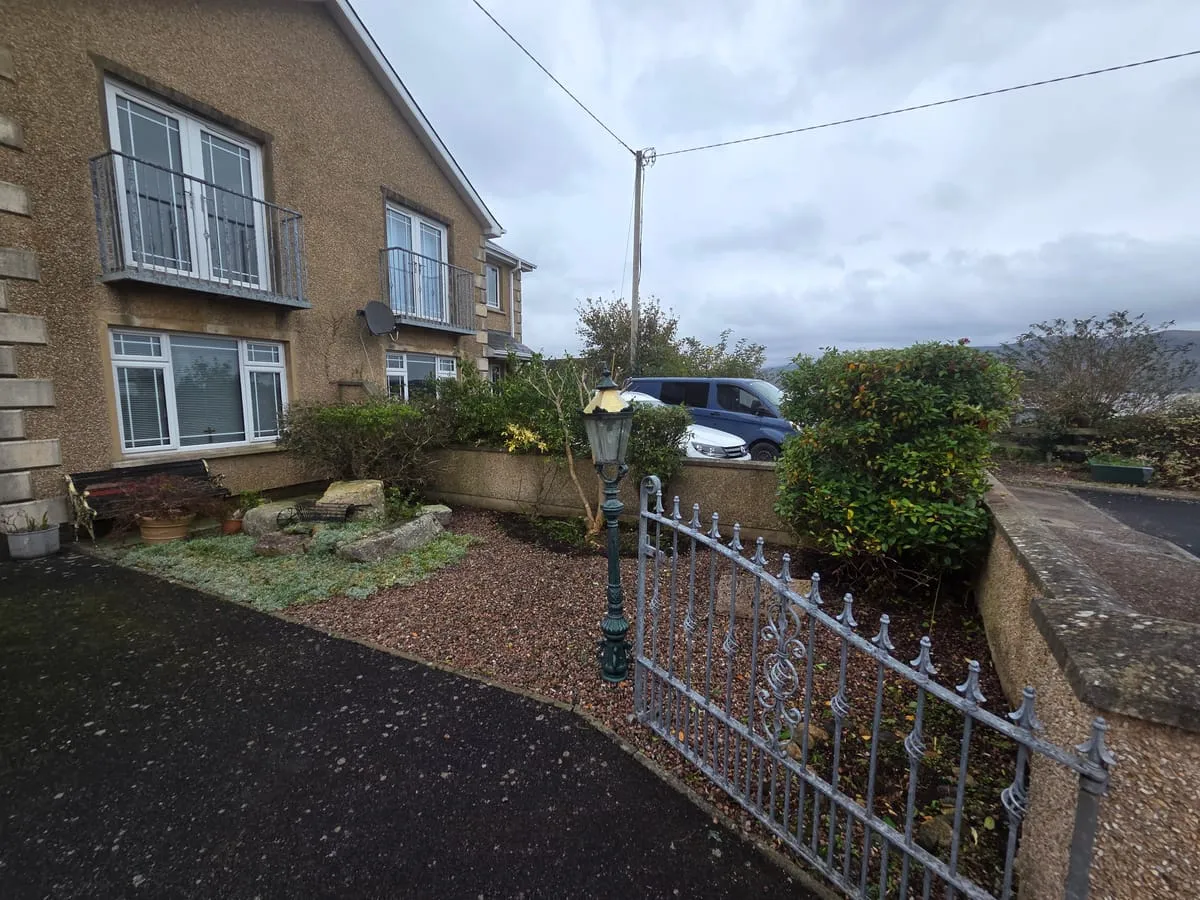 How to Thicken a Thin Hedge — 6 Proven Methods That Work