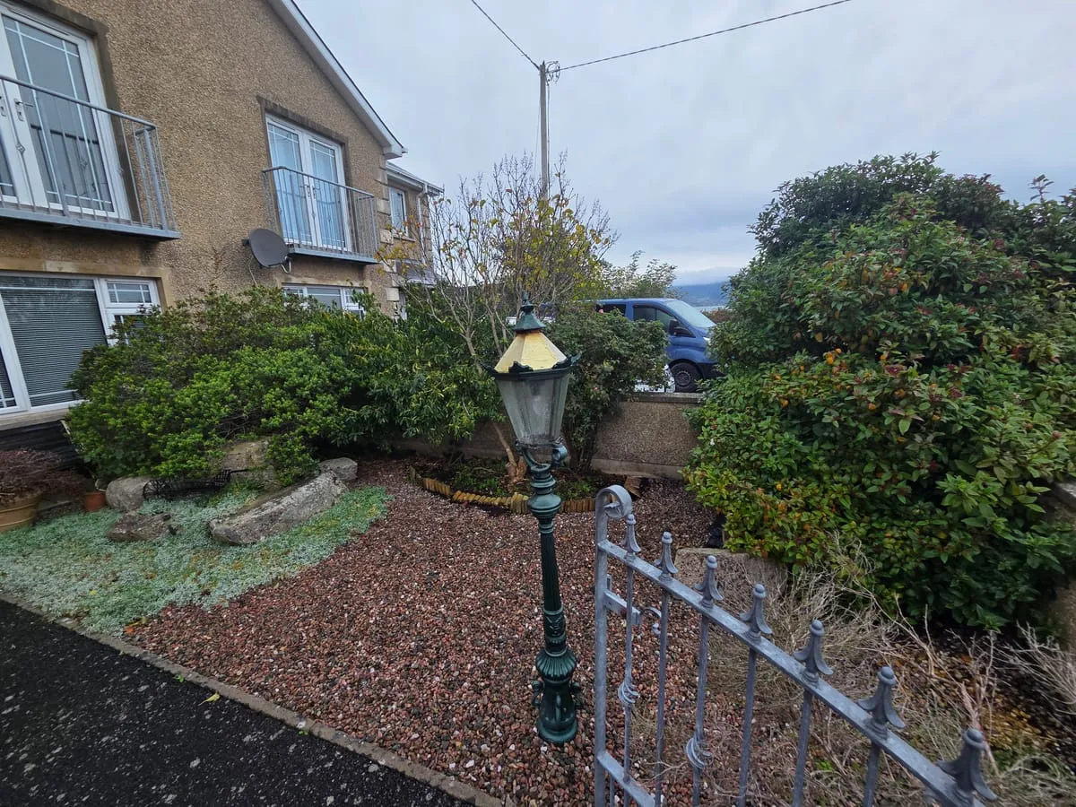 The overgrown hedges before trimming