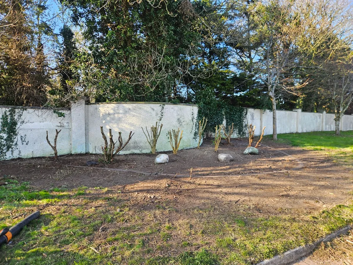 Another view of the cleared space