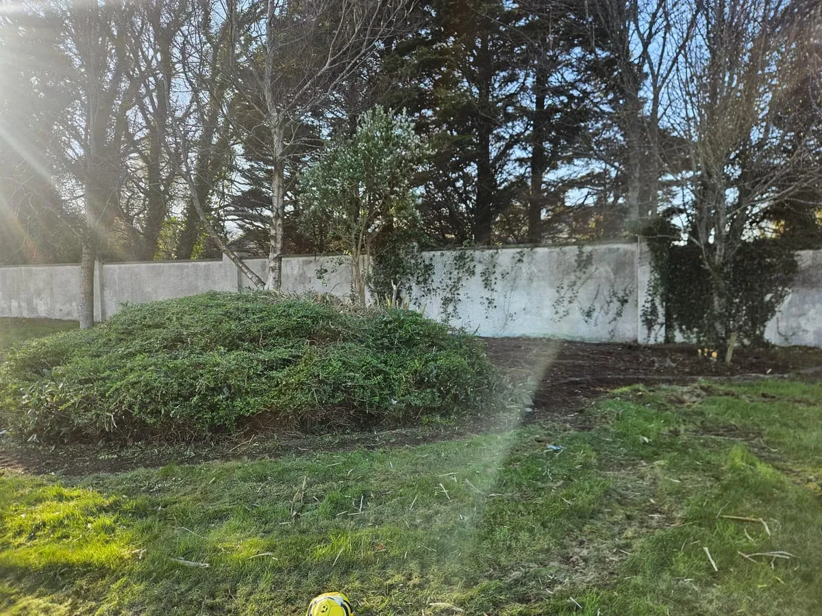 The finished clearance from a different angle