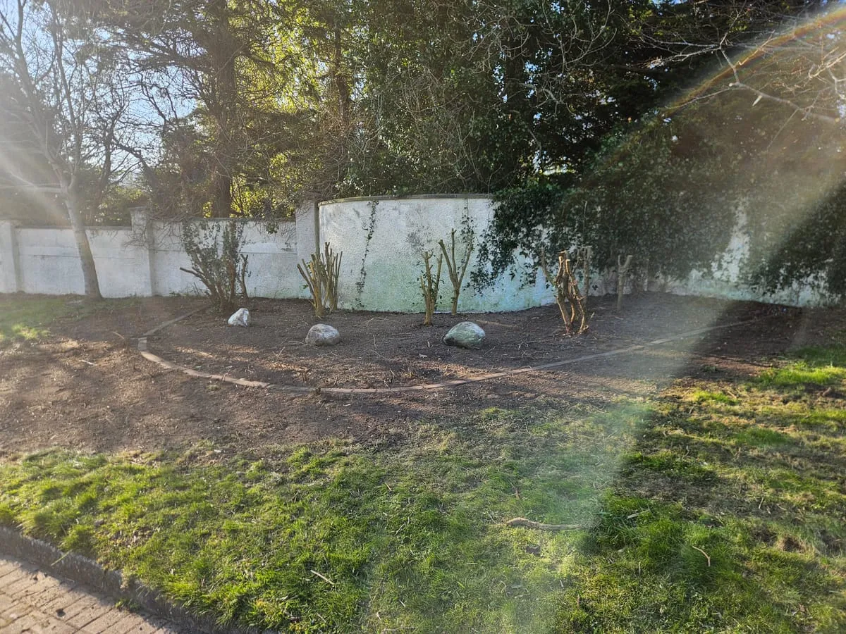 Why Your Business Should Hire a Professional Grounds Maintenance Company