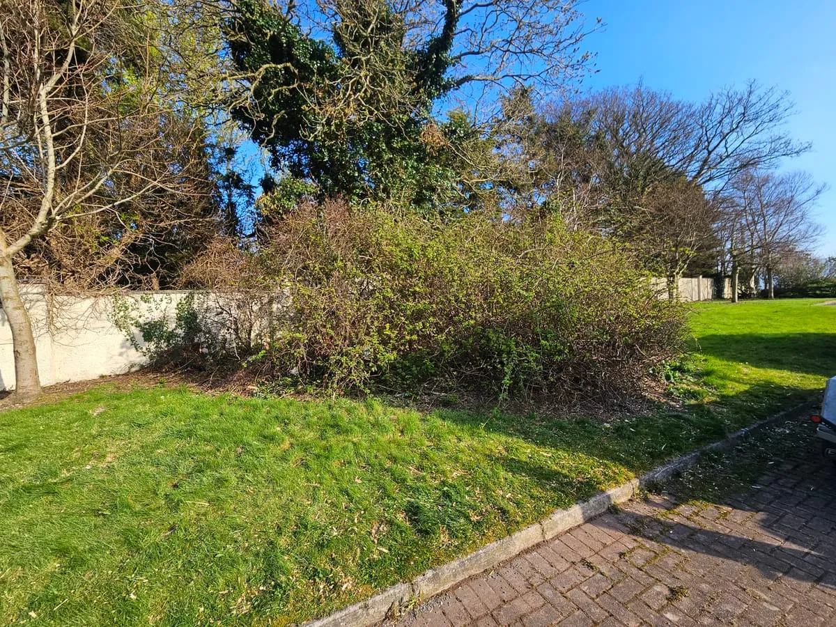 The extent of the overgrowth