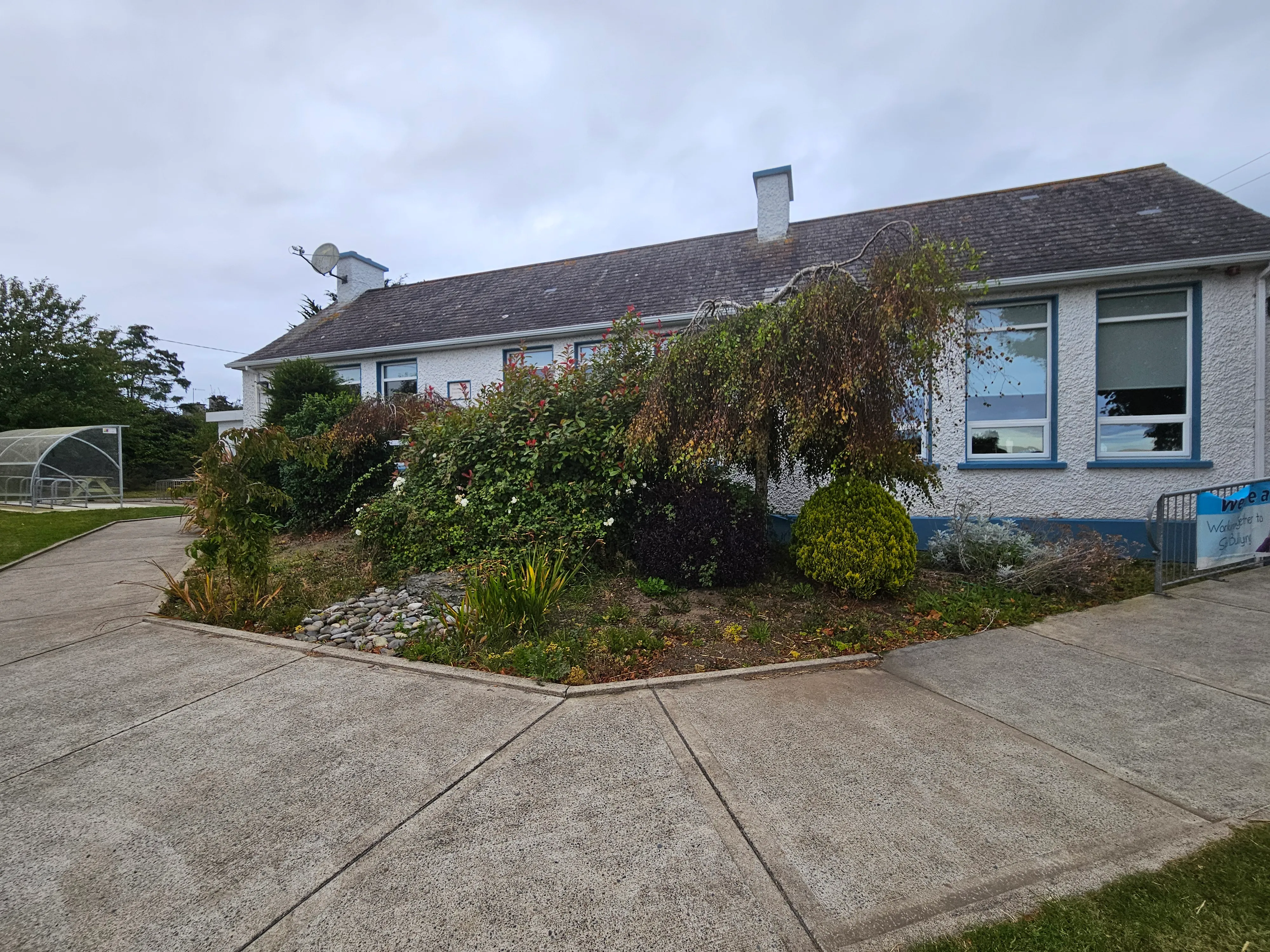 During the clearance — removing years of overgrowth