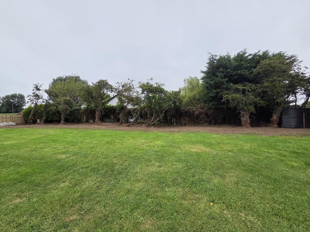 Grass Cutting & Lawn Care