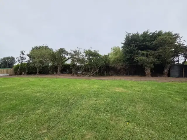 Grass Cutting & Lawn Care