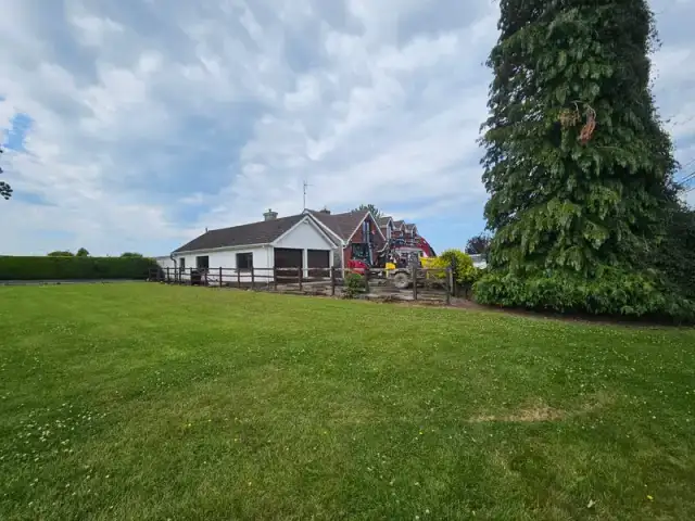 Tree Planting & Removals