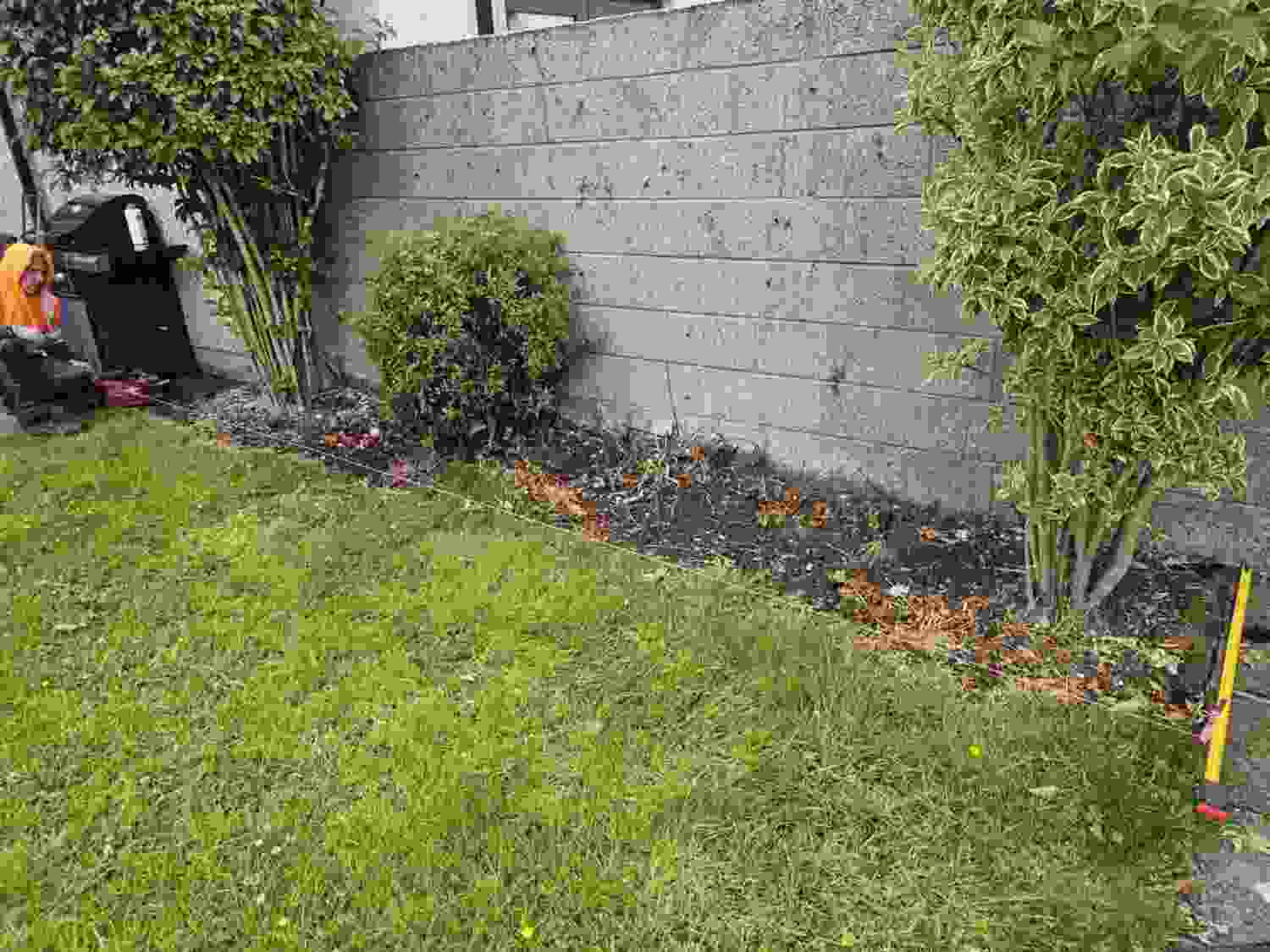 Corner Clean-Up: Low-Maintenance Gravel Bed Makeover Before