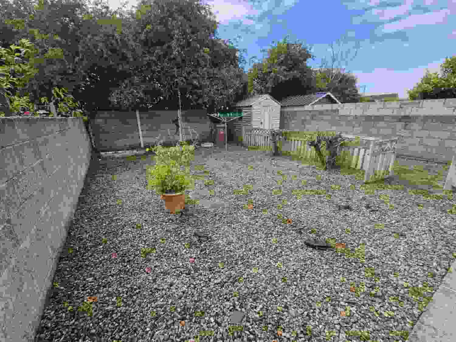 From Overgrown to Open: A Backyard Transformation After